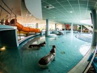 Wellness hétvége, wellness ajánlat Hungarospa Hajdúszoboszló Wellness hétvége, wellness ajánlat Hungarospa Hajdúszoboszló